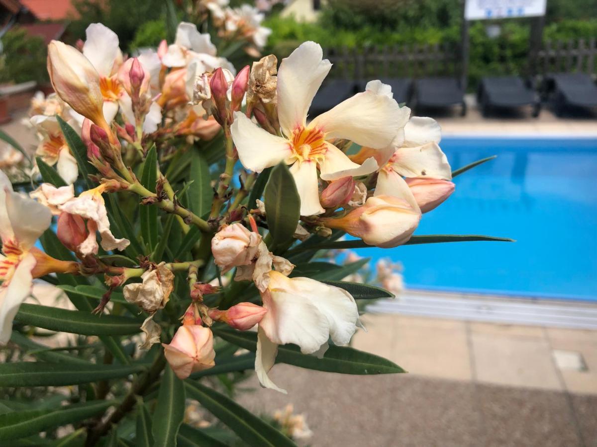 Hotel Haus Marika Siófok Zewnętrze zdjęcie