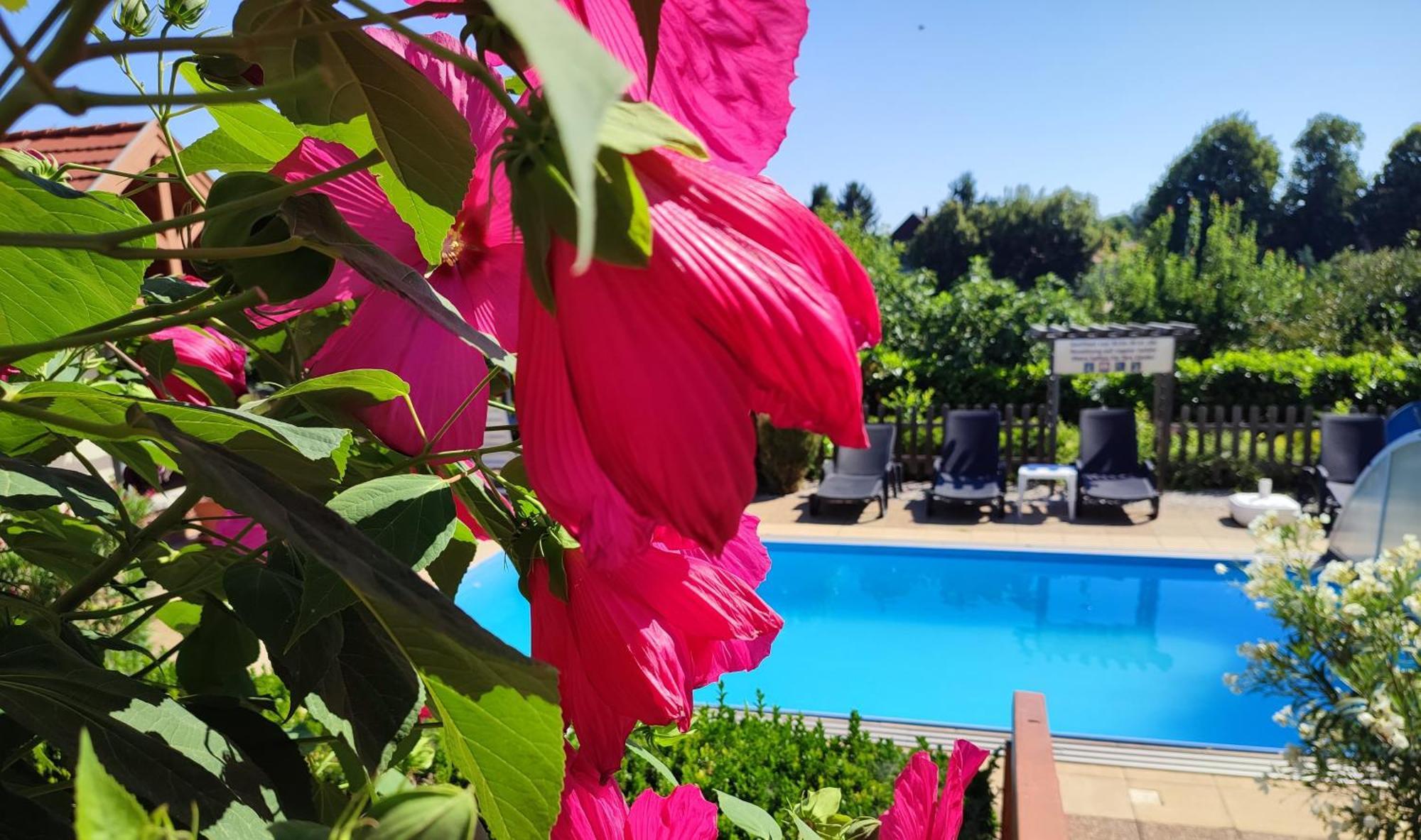 Hotel Haus Marika Siófok Zewnętrze zdjęcie