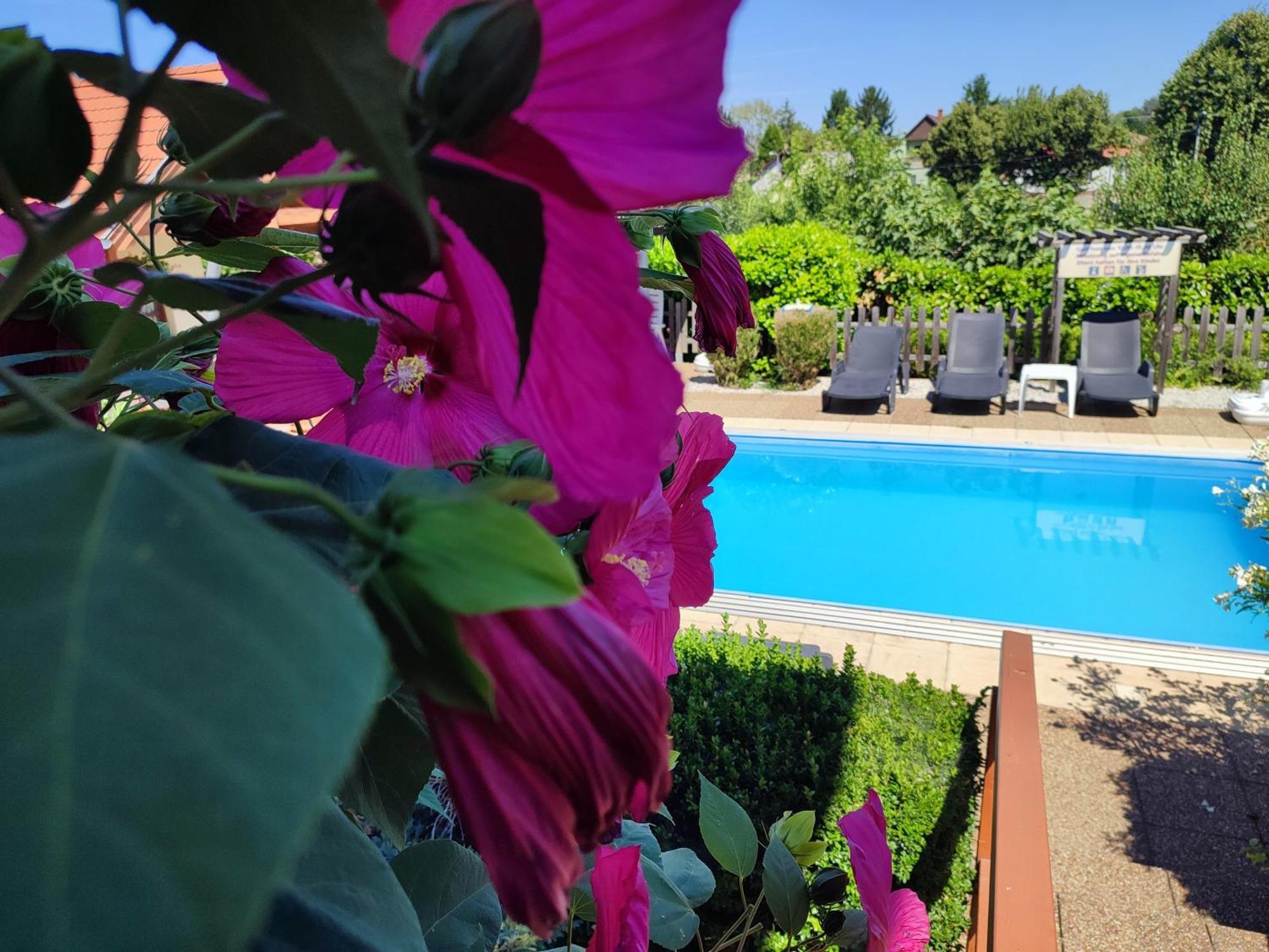 Hotel Haus Marika Siófok Zewnętrze zdjęcie